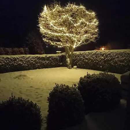 Apartment Marlene Hoggen